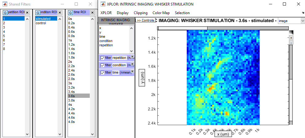 Example XPLOR window with active filters and zoom filters